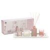 Diffuser Set 80Ml [745825]