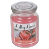 Lilly Lane 18oz Candle in Jar Food and Flavour Edition