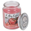 Lilly Lane 18oz Candle in Jar Food and Flavour Edition