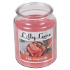 Lilly Lane 18oz Candle in Jar Food and Flavour Edition