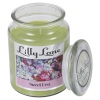 Lilly Lane 18oz Candle in Jar Food and Flavour Edition