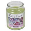 Lilly Lane 18oz Candle in Jar Food and Flavour Edition