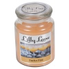 Lilly Lane 18oz Candle in Jar Food and Flavour Edition