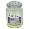 Lilly Lane 18oz Candle in Jar Food and Flavour Edition