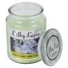 Lilly Lane 18oz Candle in Jar Food and Flavour Edition