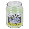 Lilly Lane 18oz Candle in Jar Food and Flavour Edition