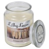 Lilly Lane 18oz Candle in Jar Food and Flavour Edition