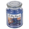 Lilly Lane 18oz Candle in Jar Food and Flavour Edition