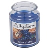 Lilly Lane 18oz Candle in Jar Food and Flavour Edition