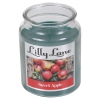 Lilly Lane 18oz Candle in Jar Food and Flavour Edition