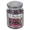 Lilly Lane 18oz Candle in Jar Food and Flavour Edition