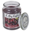 Lilly Lane 18oz Candle in Jar Food and Flavour Edition