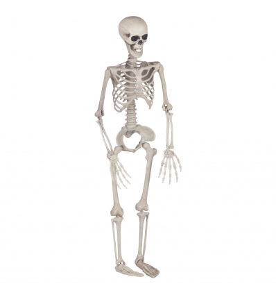 90cm Skeleton Halloween Decoration [817171]