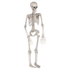 90cm Skeleton Halloween Decoration [817171]