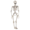 90cm Skeleton Halloween Decoration [817171]