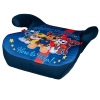 Disney & Nick Jr Character Booster Seat