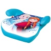 Disney & Nick Jr Character Booster Seat