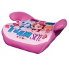 Disney & Nick Jr Character Booster Seat