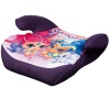 Disney & Nick Jr Character Booster Seat