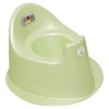 Top Potty With Stable Base