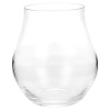 Bormioli Rocco Arte Acqua 6 Pc Glass Set [081213]