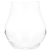 Bormioli Rocco Arte Acqua 6 Pc Glass Set [081213]