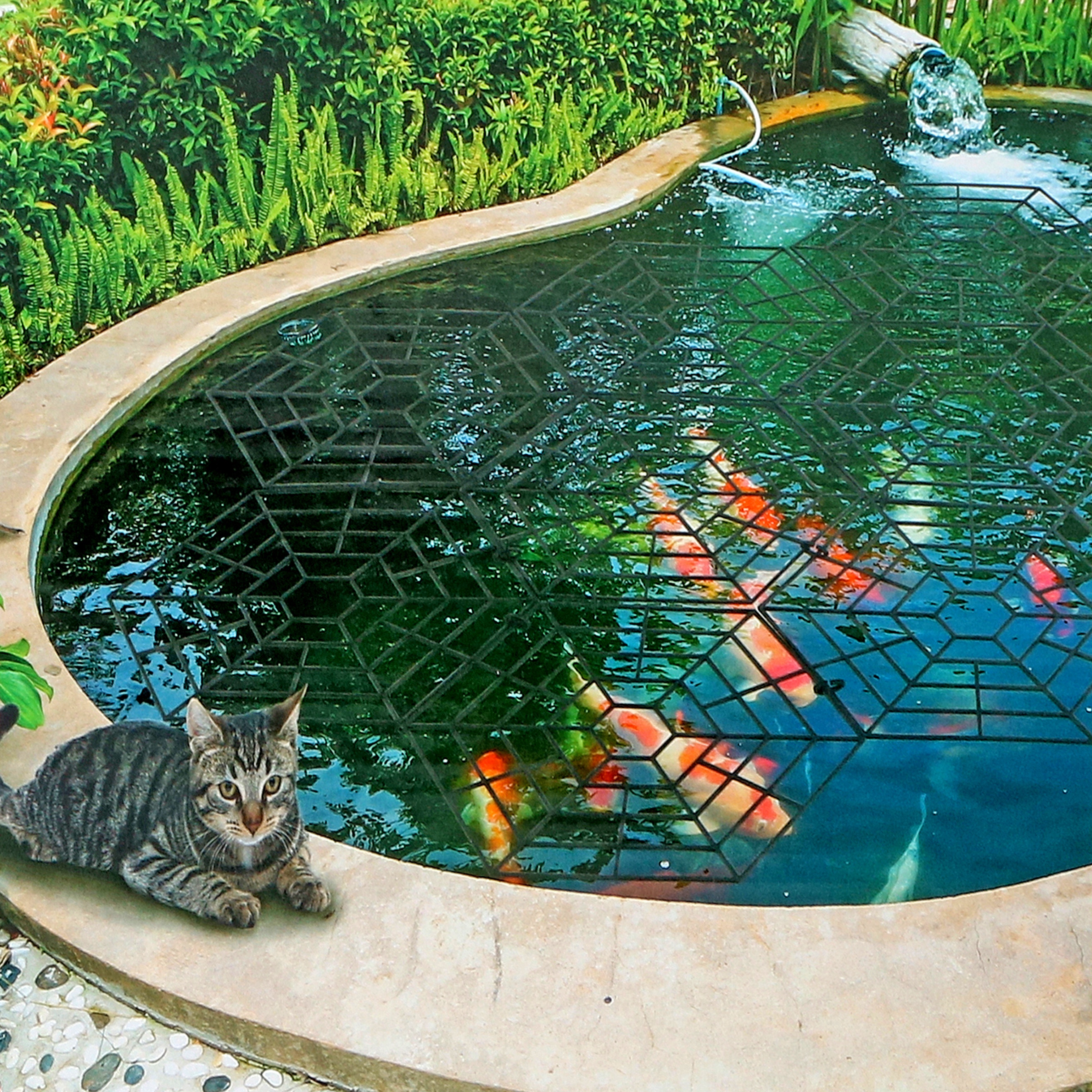 20 40 or 60 Pond Guard Pest Deterrent Fish Protector Floating Cover Garden 