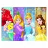 Puzzles - "30" - Fairytale princesses  [18205]