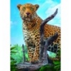 Puzzles - "500" - Wild leopard [37332]