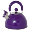 2.5L Water Kettle Stainless Steel [512549]