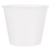 250pc 5.5oz Disposable Souffle Pot