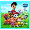 10in1 Paw Patrol team / Viacom PAW Patrol