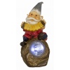 Musical Solar Light Gnomes [385129]