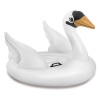 Swan Ride [403014]