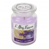 Lilly Lane 18oz Candle in Jar Summer Scents Edition