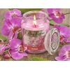 Lilly Lane 18oz Candle in Jar Summer Scents Edition