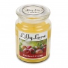 Lilly Lane 18oz Candle in Jar Summer Scents Edition
