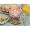 Lilly Lane 18oz Candle in Jar Summer Scents Edition