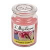 Lilly Lane 18oz Candle in Jar Summer Scents Edition