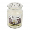 Lilly Lane 18oz Candle in Jar Summer Scents Edition