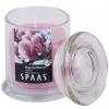 SPAAS Candle In A Jar With Lid