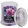 SPAAS Candle In A Jar With Lid