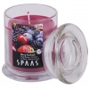 SPAAS Candle In A Jar With Lid