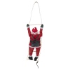 Santa Claus With Small Green Backpack On A Ladder