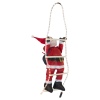 Santa Claus With Small Green Backpack On A Ladder