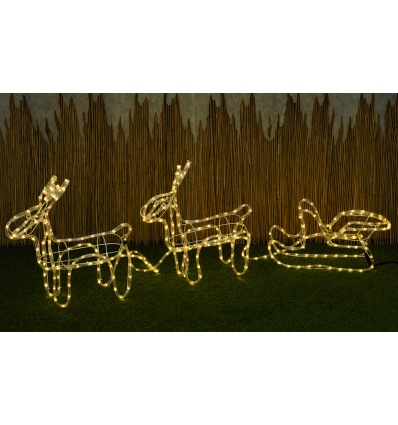 Double Reindeer With Sleight [604927]