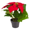 Artificial Poinsettia Flower In a Pot [666765]