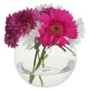 Pasabahce - Botanica Round Vase 10cm [052062]