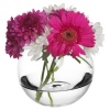 Pasabahce - Botanica Round Vase 10cm [052062]