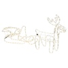 Double Reindeer With Sleight [604927]